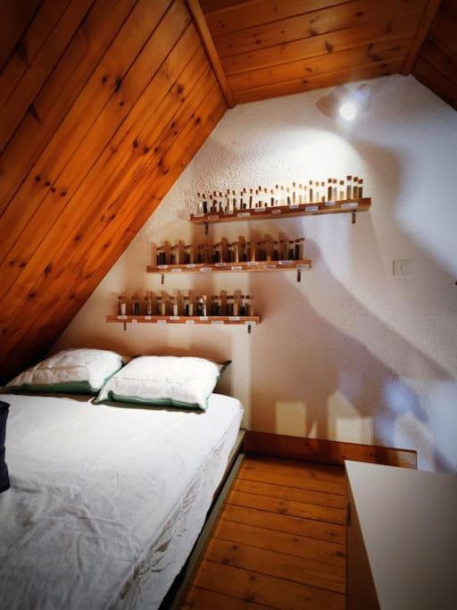 Logement 6 pers au cœur des montagnes pyrénéennes Boutx Extérieur photo