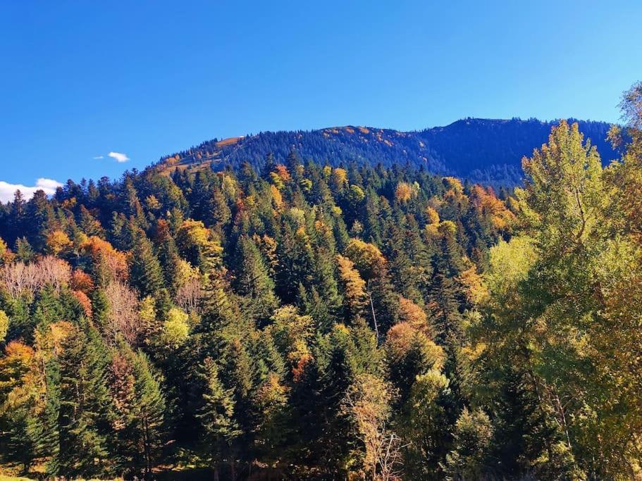 Logement 6 pers au cœur des montagnes pyrénéennes Boutx Extérieur photo