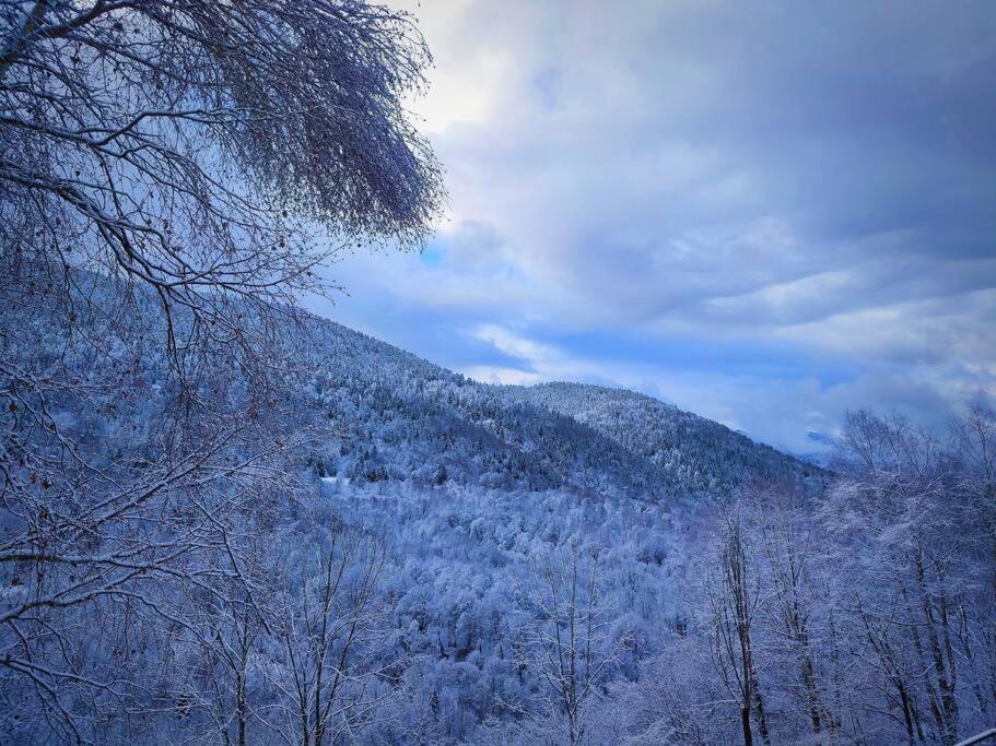 Logement 6 pers au cœur des montagnes pyrénéennes Boutx Extérieur photo