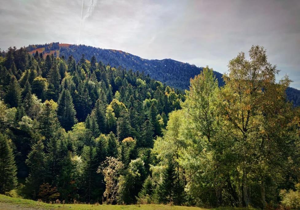 Logement 6 pers au cœur des montagnes pyrénéennes Boutx Extérieur photo